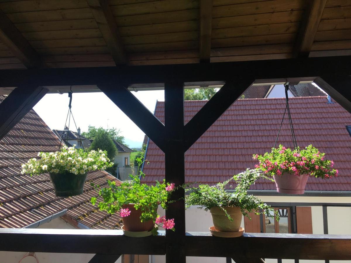 Apartamento Bienvenue en Alsace Huttenheim Exterior foto